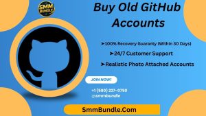 Buy Old GitHub Accounts